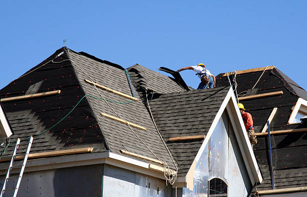 Best Roof Gutter Cleaning  in Balcones Heights, TX